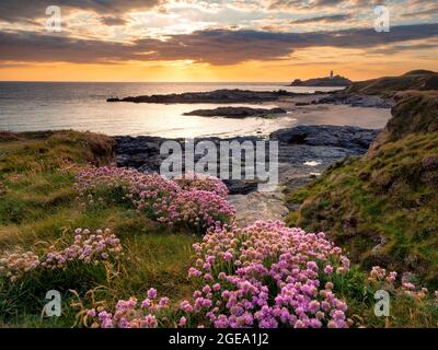 Falaises couvertes de rose marin donnant sur la mer au coucher du soleil. Banque D'Images