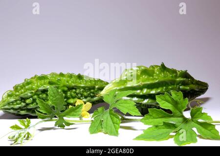 Melon amer, gourde amère avec des feuilles sur fond blanc Banque D'Images