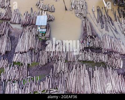 Barishal, Bangladesh. 18 août 2021. Le marché flottant du bois de Barishal, au Bangladesh, a débuté en 1918 sur un canal de la rivière Sandha, à partir des billes provenant des Sundarbans. Le commerce de l'arbre Sundari de Sundarbans, le plus grand marais de mangrove du monde, était la principale affaire ici à cette époque. C'est le plus grand marché de bois flottant en gros du pays. (Credit image: © Mustasinur Rahman Alvi/ZUMA Press Wire) Banque D'Images