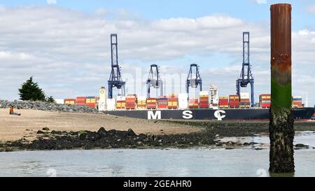 Felixstowe, Suffolk - 18 août 2021 : grues portuaires vues de l'autre côté de la rivière à Shotley. Banque D'Images