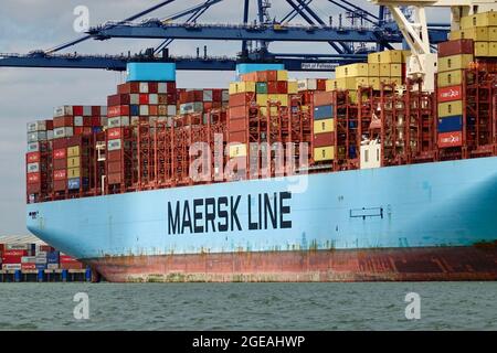 Felixstowe, Suffolk - 18 août 2021 : le navire-conteneur Maersk de Moscou est amarré pour le chargement et le déchargement. Banque D'Images