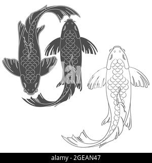 Ensemble d'illustrations vectorielles avec un miroir koi carp. Objets isolés sur fond blanc. Illustration de Vecteur