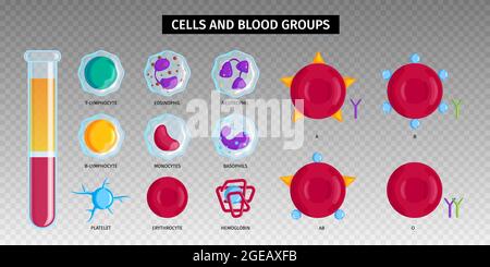 Groupes de types de sang globules rouges hémoglobine lymphocytes blancs symboles icônes définir tube à essai illustration du vecteur d'arrière-plan transparent Illustration de Vecteur
