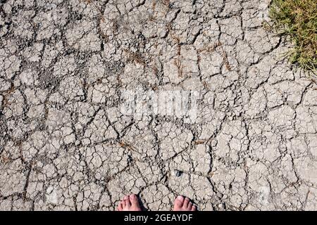 Terre fissurée avec des plantes en train de mourir. Sécheresse. Changement climatique. Banque D'Images