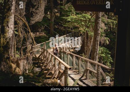 Femme marchant le long d'un pont sur le sentier des chutes d'Ladder Creek dans le parc national de North Cascades. Banque D'Images