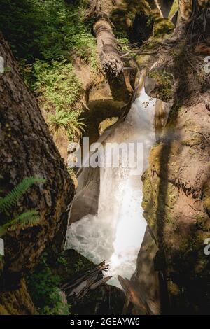 Une section de chute d'eau fait partie des chutes d'eau de Ladder Creek dans le parc national de North Cascades. Banque D'Images