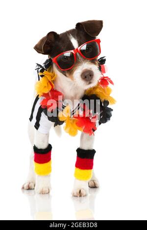 Joli chien avec une tenue de football allemande isolée sur blanc Banque D'Images