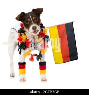 Joli chien avec une tenue de football allemande isolée sur blanc Banque D'Images