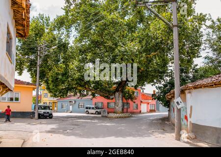 Yenisehir, Bursa, Turquie - 14 août 2021 : architecture générique des rues de la ville de Yenisehir dans la province de Bursa en Turquie. Yenisehir était le premier Banque D'Images