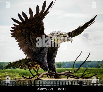 La sculpture d'aigle à la réserve naturelle nationale de Montezuma, située à New York, a été sculptée par Jay Seaman. Banque D'Images