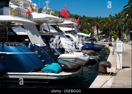 Yachts de luxe alignés à la belle marina de Cavtat sur la côte Adriatique de la Croatie Banque D'Images