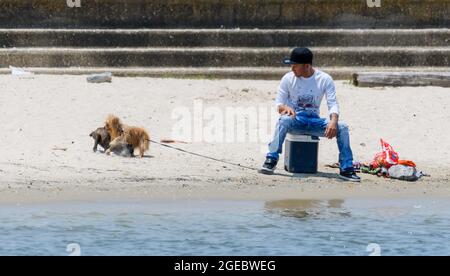 LA NOUVELLE-ORLÉANS, LA, Etats-Unis - 1 AOÛT 2021 : un jeune homme sur la plage regarde ses chiens se battre sur le lac Pontchartrain Banque D'Images