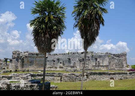 Parc national de Mexico Tulum - Parque Nacional Tulum - ruines mayas Banque D'Images