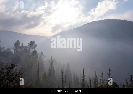 Tôt le matin vue sur les collines dans la jupe de Jérusalem montrant les vallées remplies de brouillard épais Banque D'Images