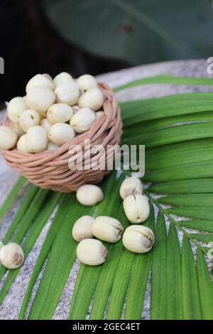 Graines de lotus séchées, les racines de lotus sont blanches et brunes de couleur et sont mangées en été et en automne dans le jardin arrière du Vietnam pour profiter et pique-niquer. Banque D'Images