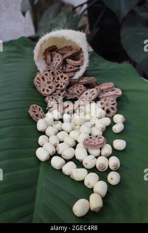 Graines de lotus séchées, les racines de lotus sont blanches et brunes de couleur et sont mangées en été et en automne dans le jardin arrière du Vietnam pour profiter et pique-niquer. Banque D'Images