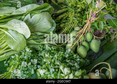 Légumes biologiques sur le marché. Mangue crue, basilic, chocolat et coriandre. Tous les légumes verts. Lumière naturelle et mise au point sélectionnée. Banque D'Images