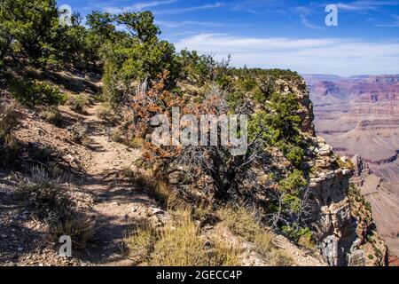 Une vue magnifique sur le paysage dans le parc national du Grand Canyon, en Arizona Banque D'Images