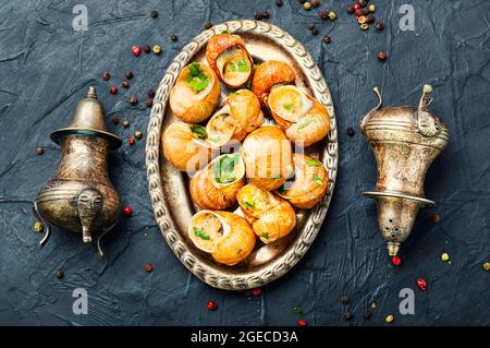 Escargots comestibles farcis au beurre vert, spécialités françaises Banque D'Images