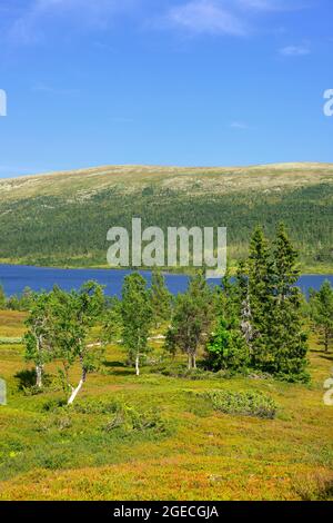 Lac Grovelsjon à Dalarna en Suède Banque D'Images