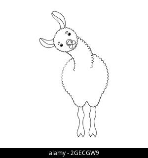 Adorable lama. Élément design pour textile, affiche, bannière, prospectus, imprimés pour vêtements. Illustration vectorielle isolée sur fond blanc. Illustration de Vecteur