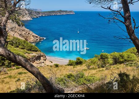 Eaux turquoise de Majorque. Plage de Coll Baix. Côte méditerranéenne. Espagne Banque D'Images