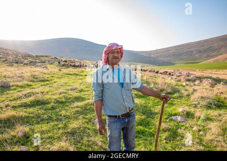 Portrait d'un berger palestinien avec son troupeau de moutons dans la vallée du Jourdain, la vallée du Rift du Jourdain, également appelée la vallée du Syro- Banque D'Images