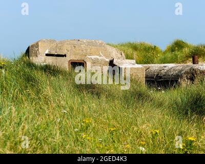 Bunker allemand, vestiges de l'Atlantique Wakll, Utah Beach, département de la Manche, Cotentin, région normande, France Banque D'Images