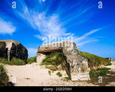 Bunker allemand, vestiges de l'Atlantique Wakll, Utah Beach, département de la Manche, Cotentin, région normande, France Banque D'Images