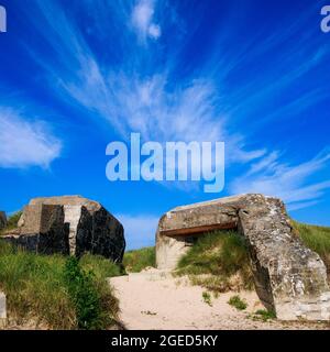 Bunker allemand, vestiges de l'Atlantique Wakll, Utah Beach, département de la Manche, Cotentin, région normande, France Banque D'Images