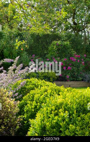 Jardin privé paysagé ensoleillé (design contemporain, fleurs d'été colorées, plantes frontalières, mur de pierre bas, arbre fruitier) - Yorkshire, Angleterre, Royaume-Uni. Banque D'Images