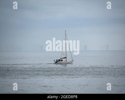 Énergie verte au travail, bateau à voile près d'Oudeschild, île de Texel, pays-Bas, avec parc à éoliennes à l'horizon. Banque D'Images