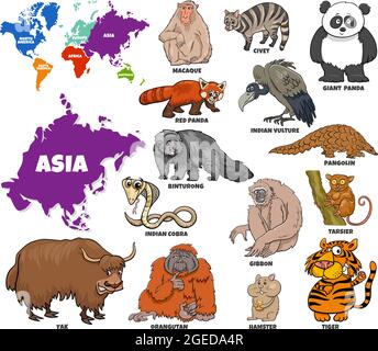 Illustration de dessins animés éducatifs d'espèces animales asiatiques et carte du monde avec des formes de continents Illustration de Vecteur