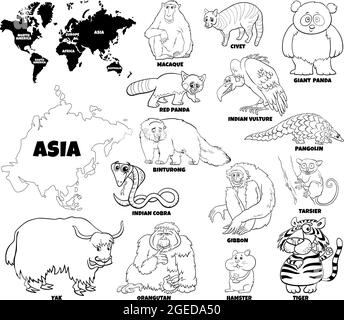 Dessin animé éducatif noir et blanc illustration de l'ensemble des espèces animales asiatiques et carte du monde avec des continents formes coloriage livre page Illustration de Vecteur