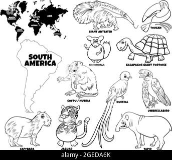 Dessin animé éducatif noir et blanc illustration de caractères d'animaux sud-américains ensemble et carte du monde avec continents formes coloriage livre page Illustration de Vecteur