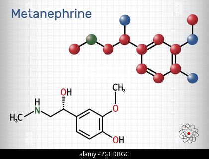 Molécule de métanephrine. C'est un métabolite de l'épinéphrine, de l'adrénaline, un biomarqueur pour le phéochromocytome. Feuille de papier dans une cage. Illustration vectorielle Illustration de Vecteur