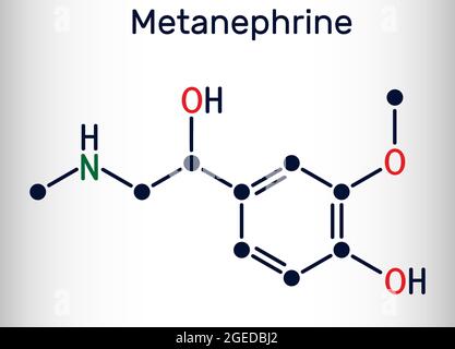 Molécule de métanephrine. C'est un métabolite de l'épinéphrine, de l'adrénaline, un biomarqueur pour le phéochromocytome. Formule chimique du squelette. Illustration vectorielle Illustration de Vecteur
