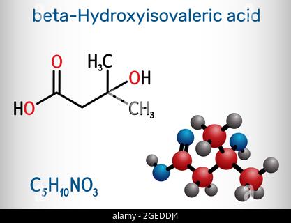 Acide bêta-hydroxy-bêta-méthylbutyrique, HMB, molécule d'acide bêta-hydroxyisovalère. Il est indicateur d'une carence en biotine, métabolite de la leucine. Structure Illustration de Vecteur