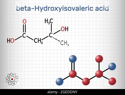 Acide bêta-hydroxy-bêta-méthylbutyrique, HMB, molécule d'acide bêta-hydroxyisovalère. Il est indicateur d'une carence en biotine, métabolite de la leucine. Feuille de Illustration de Vecteur