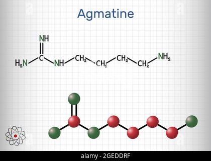 Molécule d'agmatine. Il s'agit d'un composé aminé, membre des guanidines, métabolite naturel de l'arginine. Feuille de papier dans une cage Illustration de Vecteur