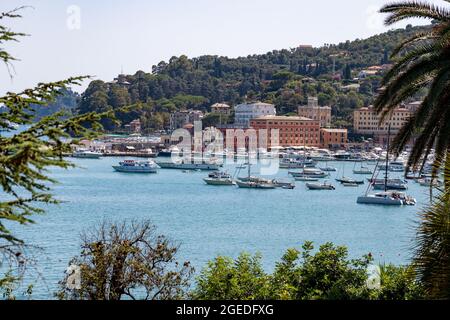 Blick über Palem auf den Hafen und die Häuser drum herum. Touristen istmen am 19. Août 2021 dans die wunderschöne Stadt Santa Margherita im Levante Teil Liguriens. Santa Margherita und Ligurien bitechen durch die schöne Natur mit Meer, Hügeln, whewandert und geradelt werden kann und der schönen & bunten Architektur. Hafen von Santa Margherita legen viele Boote und Yachten an. * vue de palmiers sur le port et les maisons autour. Les touristes visitent la belle Santa Marghrita dans la partie Levante de Ligurie, en Italie du Nord, le 19 août 2021. Les gens aiment Santa Margherita comme Ligury at Banque D'Images