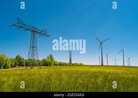 Vue panoramique sur le magnifique paysage de ferme avec champ de prairie avec différentes fleurs, éoliennes pour produire l'énergie verte et la ligne électrique Banque D'Images