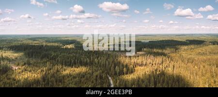Grand paysage forestier panoramique aérien avec ciel nuageux et taches de lumière du soleil. Image panoramique à tons doux Banque D'Images