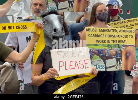 MEW York, NY, États-Unis. 19 août 2021. Le rassemblement de protestation de la NYCLASS pour mettre fin à la cruauté des carrosse-cheval à New York le 19 août 2021. Credit: Manifestation Nyclass Rally to End Horse Carriage cruauté/Alay Live News Banque D'Images