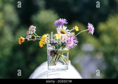 Fleurs sauvages en verre à l'extérieur. Bouquet de fleurs sauvages d'été herbes multicolores dans un vase sur fond vert de la nature. Bouquet de fleurs d'été dans vase Banque D'Images