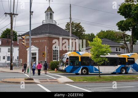 Halifax, Canada - le 9 août 2021 : autobus de transport en commun de Halifax dans la rue Banque D'Images
