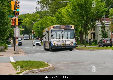 Halifax, Canada - le 9 août 2021 : autobus de transport en commun de Halifax dans la rue Banque D'Images