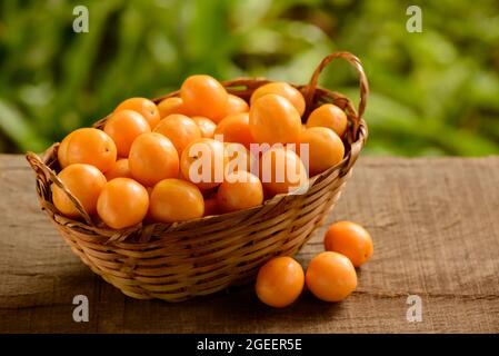 caja de fruits brésiliens dans le panier de paille. Banque D'Images