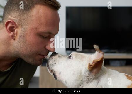 Homme avec un chien terrier américain brun et blanc staffordshire donnant un régal avec sa bouche dans une maison Banque D'Images