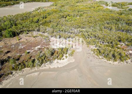 Vue aérienne du paysage des arbres qui poussent sur les plates-formes de sel marécageux. Banque D'Images